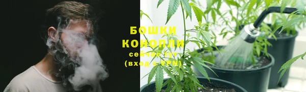 кокс Нея