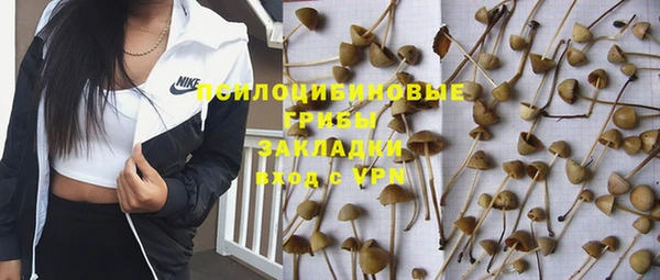 кокс Нея