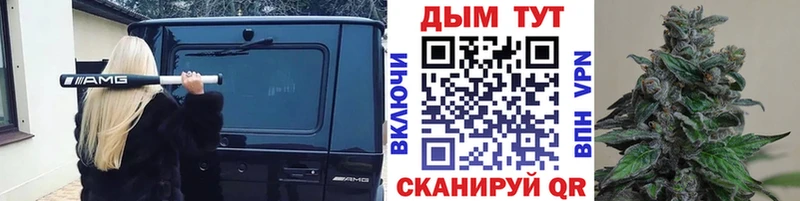 цены наркотик  Заполярный  Каннабис конопля 
